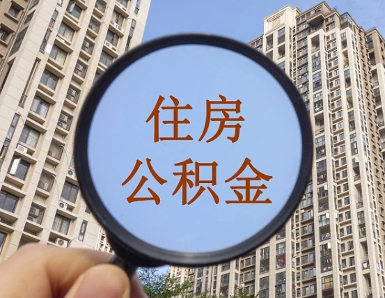 海盐退休后查不到公积金明细了吗（退休后公积金查询不到原因）